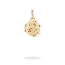 Zodiac Diamond Hinged Charm