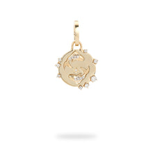 Zodiac Diamond Hinged Charm