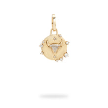 Zodiac Diamond Hinged Charm
