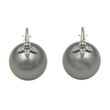 Flying Tahitian or Australian Pearl Earrings