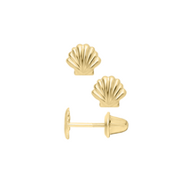 Gold Sea Shell Safety Screw Back Stud Earrings