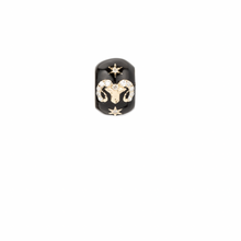 Zodiac Ceramic & Diamond Big Bead Charm