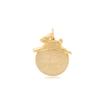 Lucky Rabbit Medallion Charm