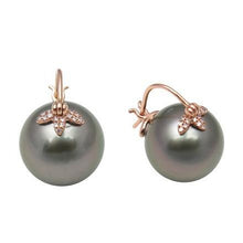 Flying Tahitian or Australian Pearl Earrings