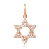 Diamond Star of David Charm