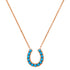 Thriving Turquoise Horseshoe Necklace