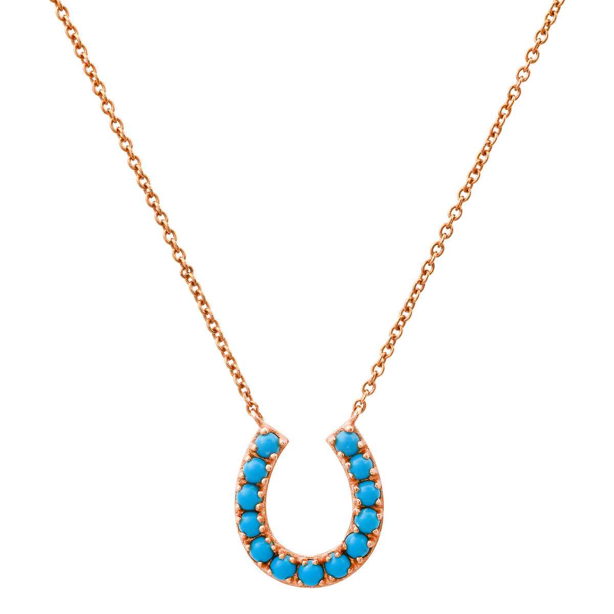 Thriving Turquoise Horseshoe Necklace