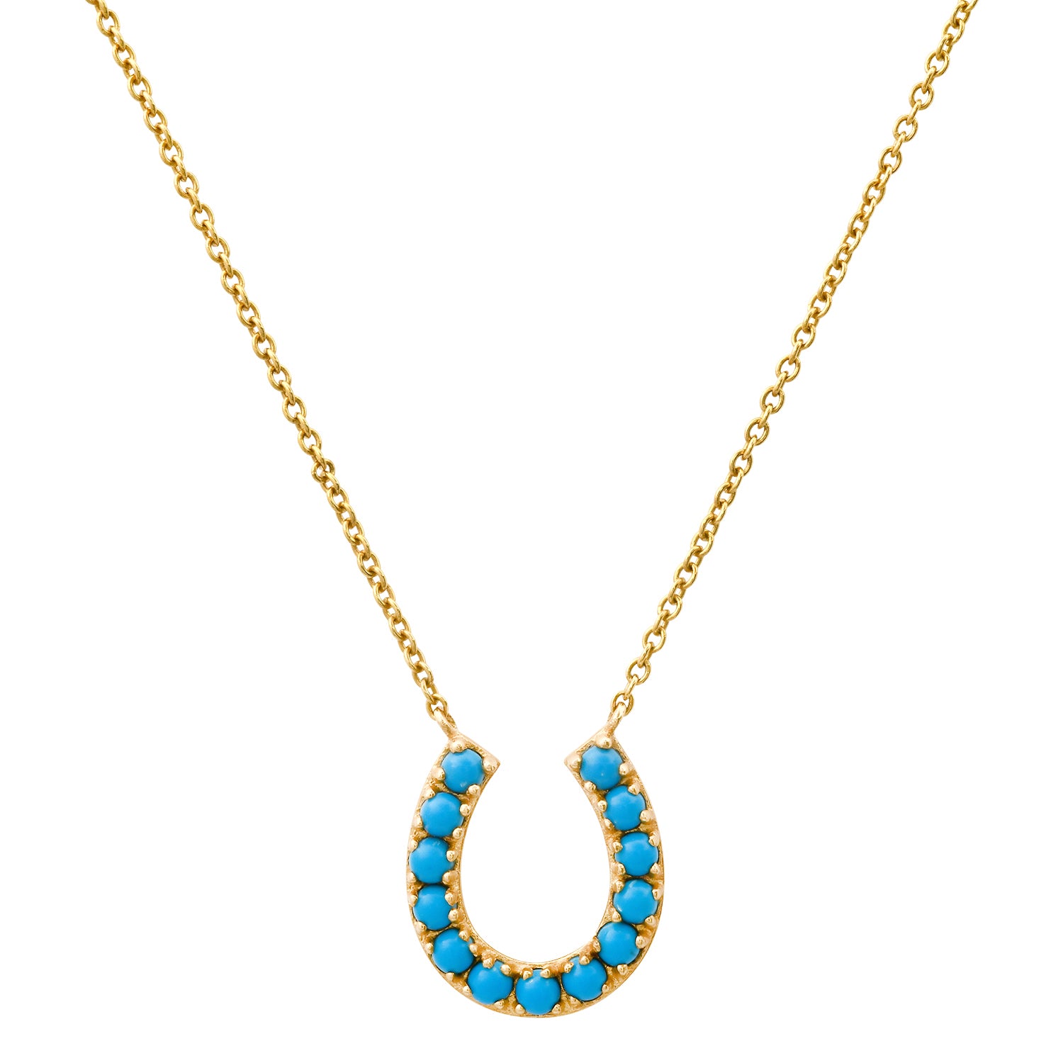 Thriving Turquoise Horseshoe Necklace