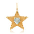 Gemstone Heart & Fluted Gold Starlight Charm