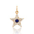 Small Diamond & Gemstone Star Charm
