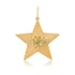 One of a Kind Star Light Charm with Pink or Yellow Sapphire