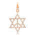 Diamond Bezel Star of David Peace Charm