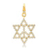 Diamond Bezel Star of David Peace Charm