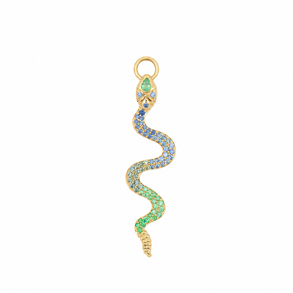 Double Sided Rattlesnake Charm Pendant
