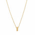 Bamboo Spacer Big Bead