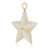 Large Mother of Pearl & Diamond Star Charm