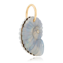 Abalone & Diamond Luminescent Ammonite Shell Charm