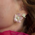 hover