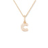 Family Alphabet Small Initial Charm