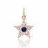 Small Diamond & Gemstone Star Charm