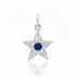 Small Diamond & Gemstone Star Charm