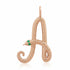 Snake Initial Charm