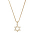 Star of David Talisman Charm Necklace