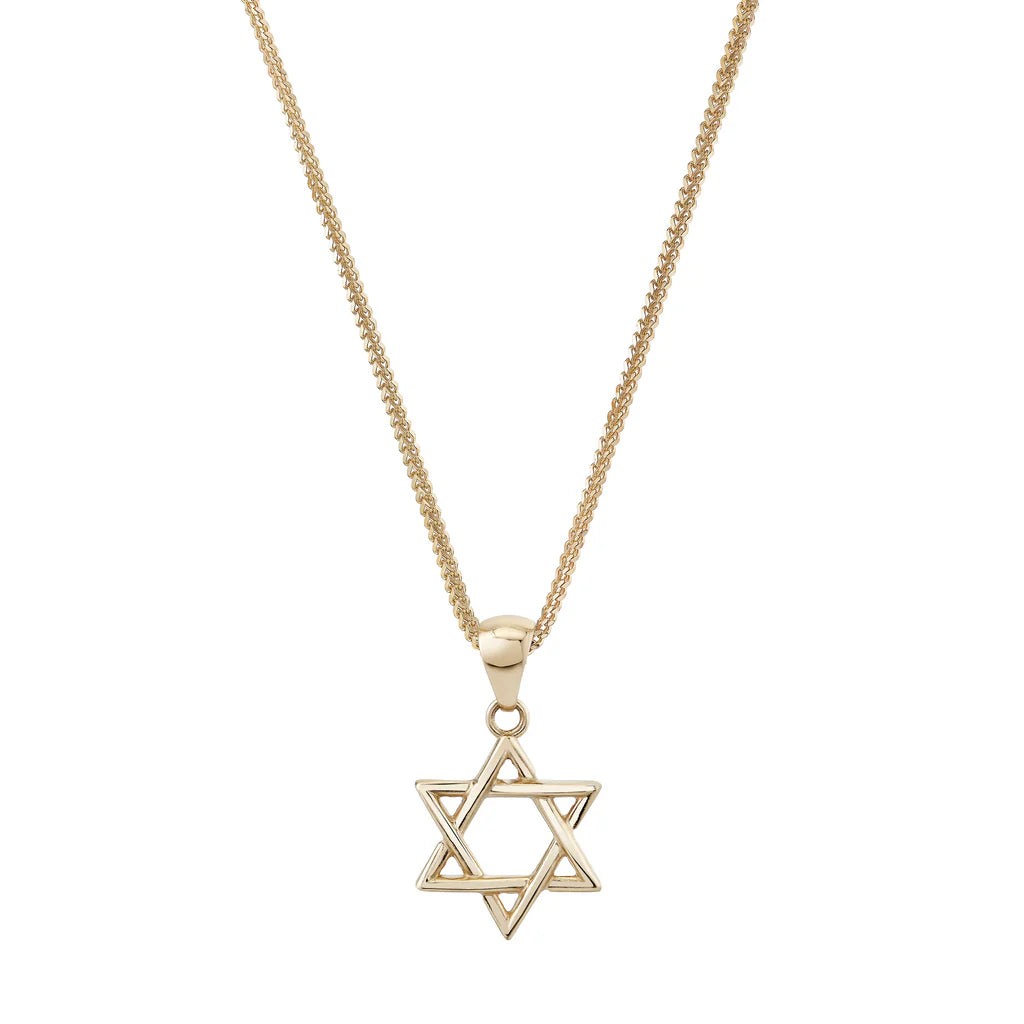 Star of David Talisman Charm Necklace