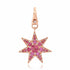 Gemstone Starburst Charm