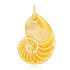 Golden Mother of Pearl Nautilus Charm