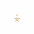 Enamel & Diamond Lucky Star Charm