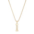 Dog Bone Signet Charm