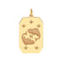 Astrological Zodiac Tablet Charm Pendant