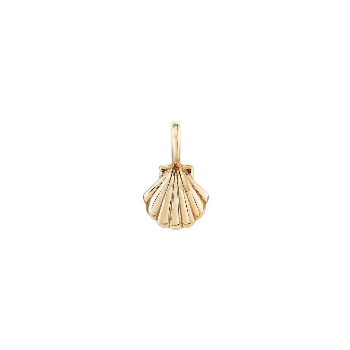Petite Scallop Shell Charm Pendant