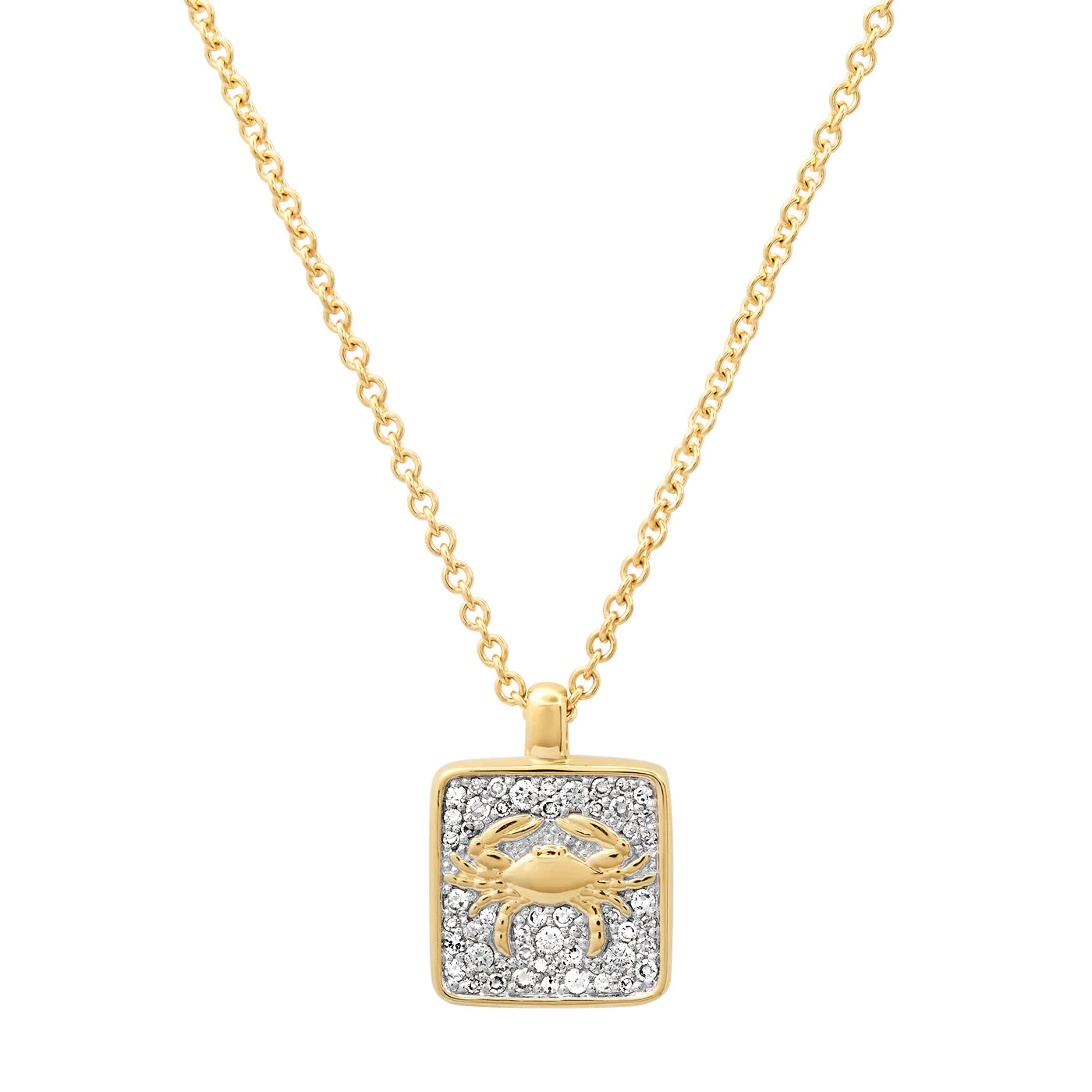 Diamond Zodiac Necklace