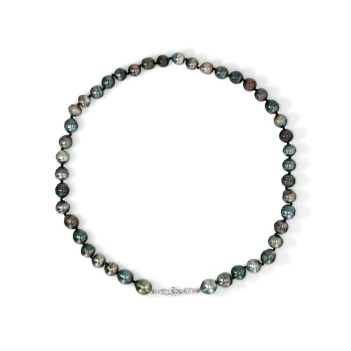 Tahitian Pearl Necklace