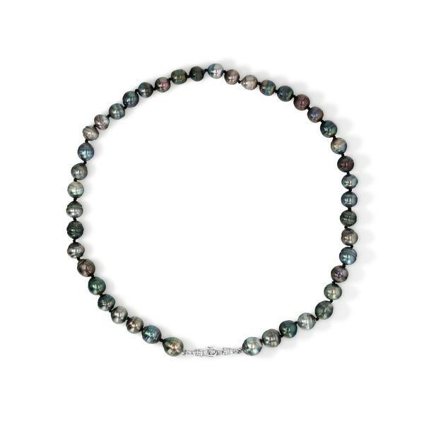 Tahitian Pearl Necklace