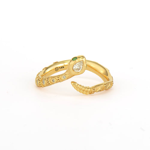 Tiny Rattlesnake Band Ring