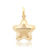 Large Puffy Gold Star Locket Charm