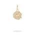 Zodiac Diamond Hinged Charm