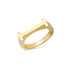 Chunky Initial Ring