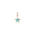 Enamel & Diamond Lucky Star Charm