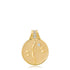 Zodiac Medallion Pendant