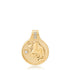 Zodiac Medallion Pendant