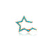 Double Sided Turquoise Star Charm Clip Holder Enhancer