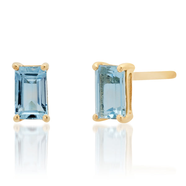 Monte Carlo Earring – Sticks and Steel