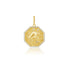 What's Your Sign Diamond Zodiac Charm