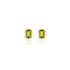 Manhattan Emerald Cut with Gold Frame Stud Earrings