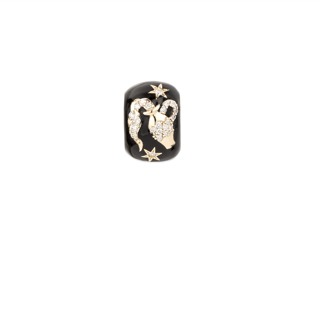 Zodiac Ceramic & Diamond Big Bead Charm