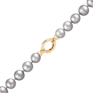 Grey Nucleated Freshwater Pearl Ezra Necklace